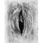 Eine kleine Anatomie des Begehrens