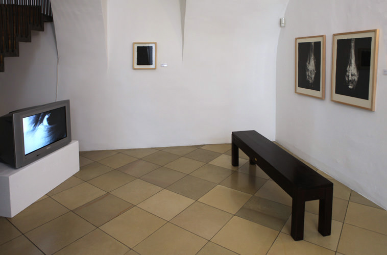 Ausstellungsansicht Museum moderner Kunst Passau
