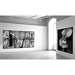 Ausstellungsansicht Käthe Kollwitz Museum Berlin
